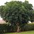 Muguette Flood-Dale's profile image