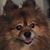 Debbie Holbert's profile image
