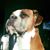 Ryan Brumfield's profile image