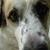 Sally Watkins Bobbitt's profile image