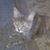 Miller Penny's profile image
