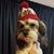 Jill Ratliff's profile image