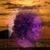 Lawanda Fisher's profile image