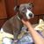 Christine Garcia-Elliott's profile image