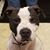 Dorothy Schultz's profile image