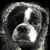 Danna Cole's profile image