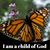 Lynette Jett's profile image