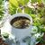 Garden Path Herbalist's profile image