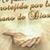 Aracelis Peñalver's profile image