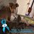 Karen Glubka's profile image