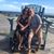Angie Spencer Robinson's profile image
