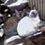 Patti Pennington's profile image