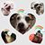 Seth Ross's profile image