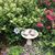 Marilee Bodie's profile image