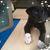 Terre Faudree's profile image