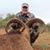 Mike White's profile image