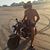 Chris Lanier's profile image