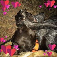 Kelly Jarmuzek's profile image