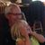 Bill Dowe's profile image