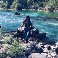 Sebina Husidic's profile image