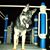 Janine Jorgensen Connors's profile image