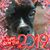 Joanne Pitoscia-Donaldson's profile image