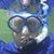 Bill Venturini's profile image
