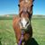 Tina Mendonca's profile image