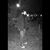 Tyler Maciel-Todd's profile image