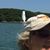 Beth Powell Craft's profile image