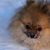 Paula Hale's profile image