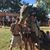 Dale Morehouse-Huffman's profile image