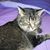 Kathy Ellwein's profile image