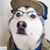 Scott Buck's profile image