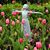 Linda Johnson's profile image