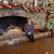Nancy Henkle's profile image