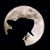 Thomas Suchora's profile image