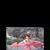 Annie Sun's profile image