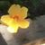 Terrie Montgomery's profile image