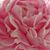 Aly Sene-Dorsi's profile image
