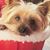 Robin Wolfe Emin's profile image