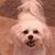 Dana Austin's profile image