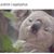 Annette Schaab's profile image