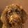 Kathy C.'s profile image