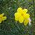 Debra Kay's profile image