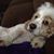 Eloisa Maria Ortiz's profile image