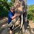 George Rode's profile image