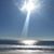 Patty Nelson-Bruno's profile image