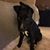 Donna Brunton's profile image