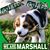 Terri Chafin's profile image